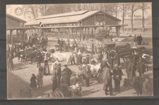   MARCHE AUX BESTIAUX (111)