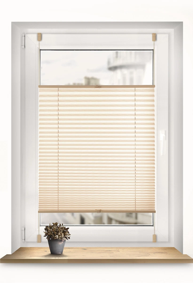 Plissee-Rollos 130x130cm online kaufen