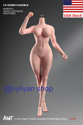 ANT T307 1/6 Female Pale Sexy Large Bust Muscle Plump Body Model For 12''Figure