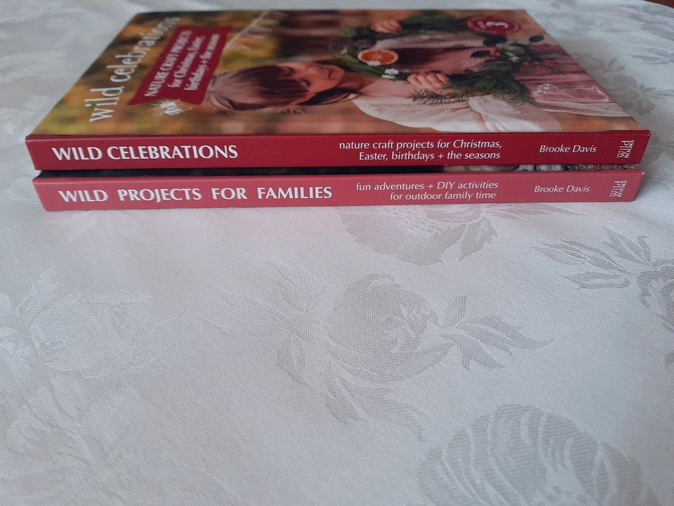 2x Nature Craft srs by Brooke Davis #3 WILD CELEBRATIONS, #4 PROJECTS FOR FAMILI - image 3 of 4