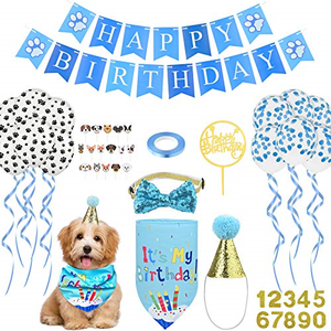 dog first birthday hat