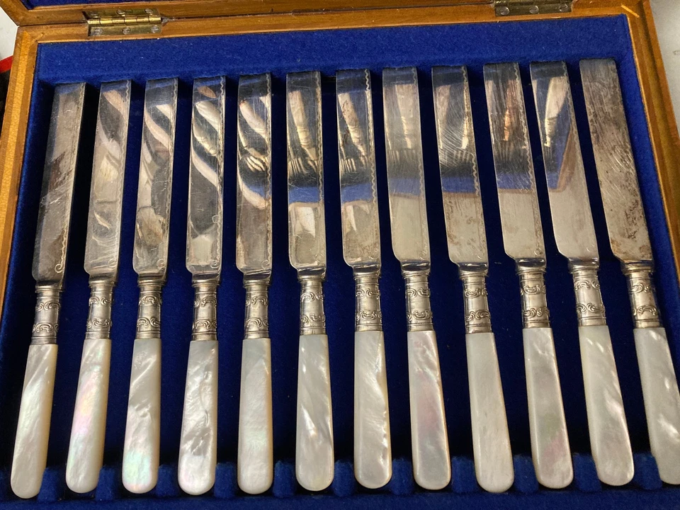 ANTIQUE BIRKS & SONS SILVER PLATE MOTHER OF PEARL BOXED FRUIT SERVICE FOR 12 - Image 2 of 4