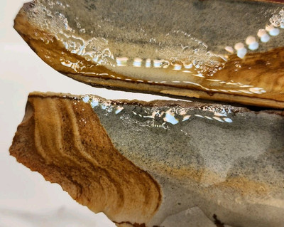 Chicken Track Jasper - Good Quality Old Stock From Oregon 2 SLABS 2pc (65 grams)