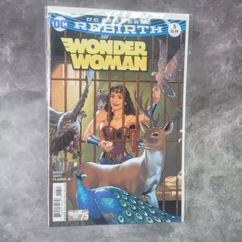 Wonder Woman #6 - DC Universe Rebirth Comics Comic Book Bagged & Boarded