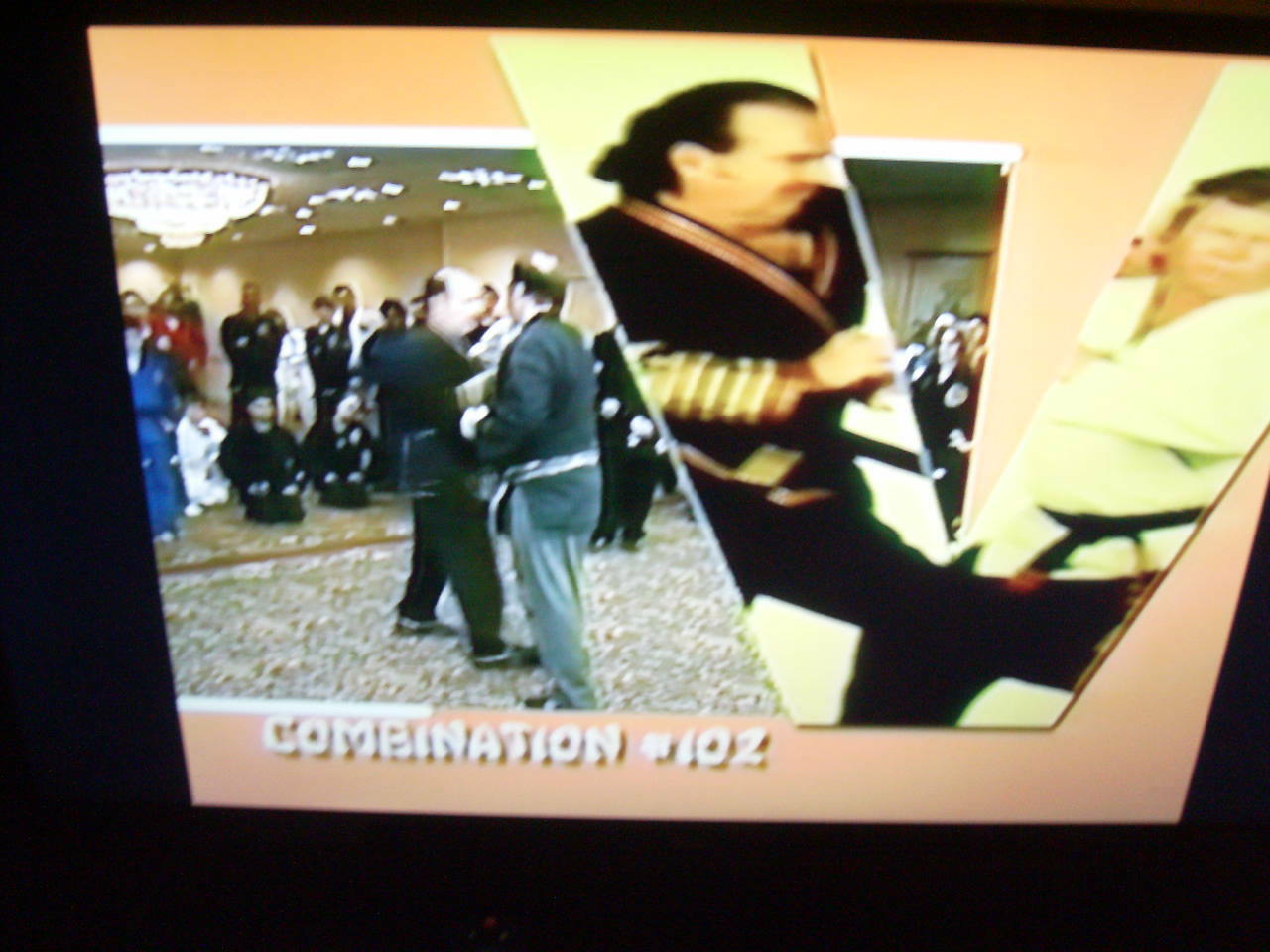 Fred Villari fighting clinic 2003 Shaolin Kempo Karate DVD eBay