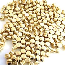 2 x Winchester Parts Model 70/54 Remington 700 6-48 Plug Screws with STOP Gold