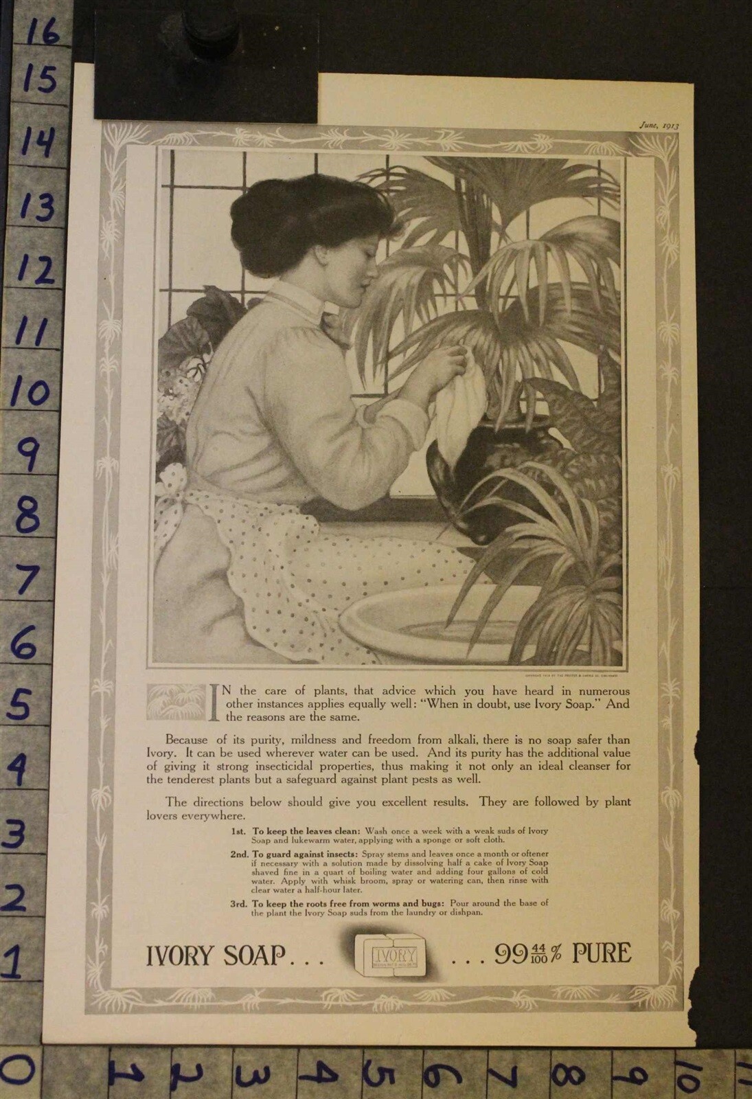 1913 IVORY SOAP PLANT GREENHOUSE CLEANER WIREMAN HOUSEHOLD DECOR ART AD 23972* eBay