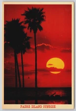 Padre Island Texas Sunrise Palm Trees Gulf of Mexico Nat'l Seashore Postcard D3