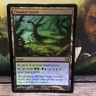 Flooded Grove 177 Eventide FOIL MTG TCG CARD LP