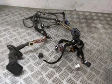Renault Clio Iconic Tce Mk4 2012-2019 Door Wiring Loom (o/s Front Driver) 