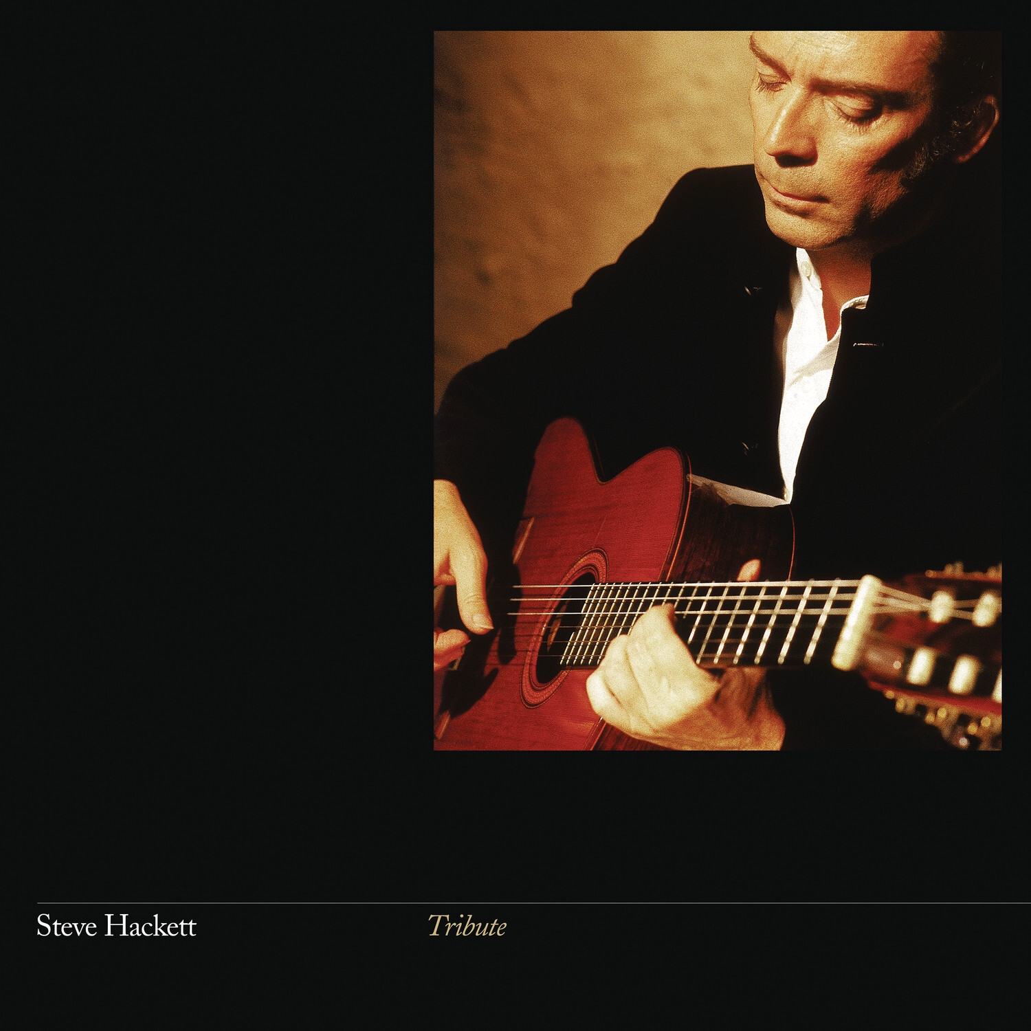 Steve Hackett Tribute (Re-Issue 2024) Vinyl LP New And Sealed