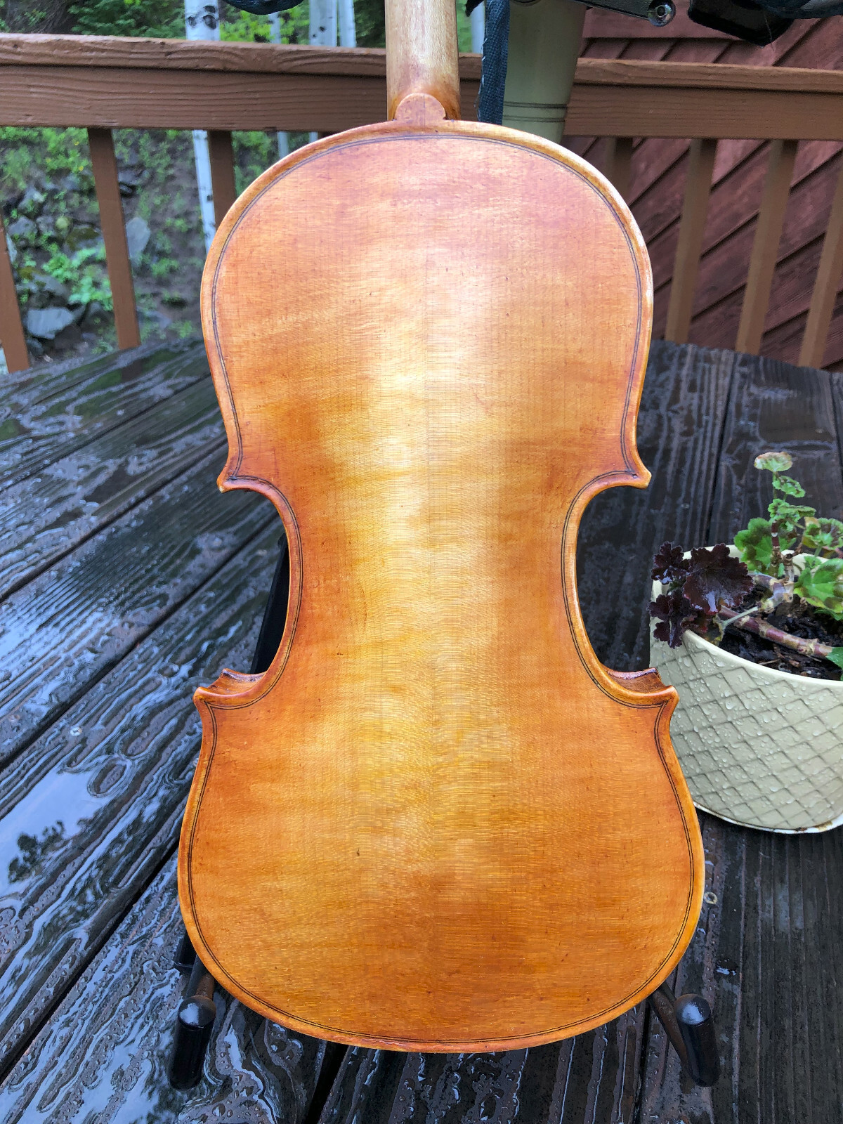 Vintage Restored Violin Full Size, No Label eBay
