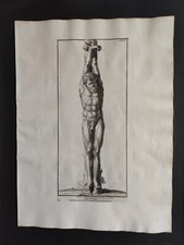 Marsia Peeled by Apollo, Statue Collection, Randon, Print 1742