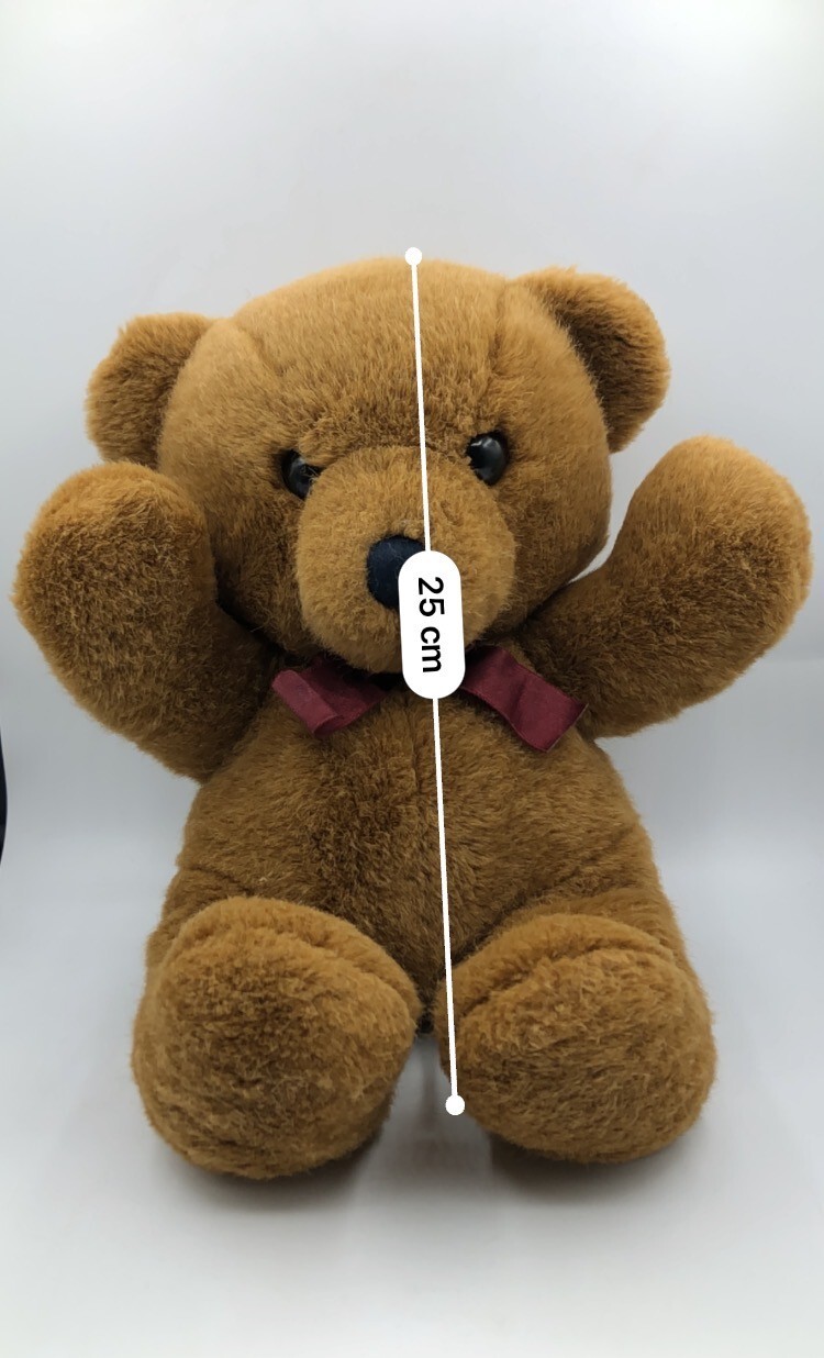 dakin teddy
