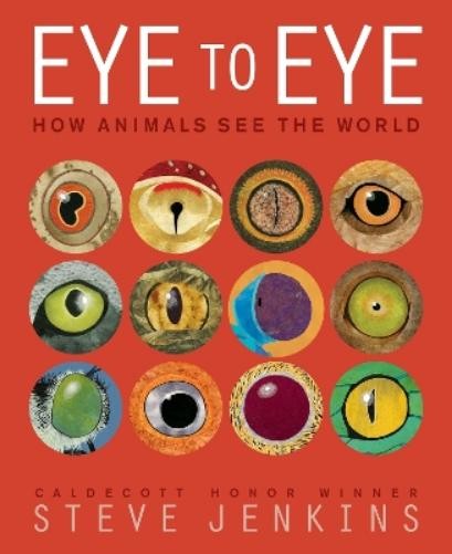 Steve Jenkins Eye to Eye/How Animals See the World (Tascabile)