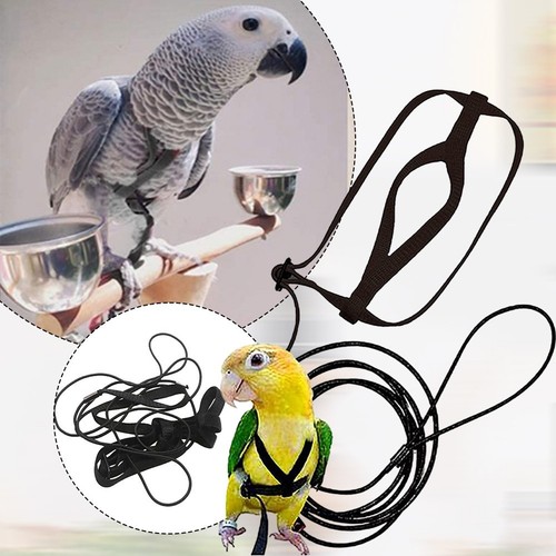 Parrot Bird Harness Leash Adjustable Training Rope Flying Traction Straps Band - Picture 1 of 41