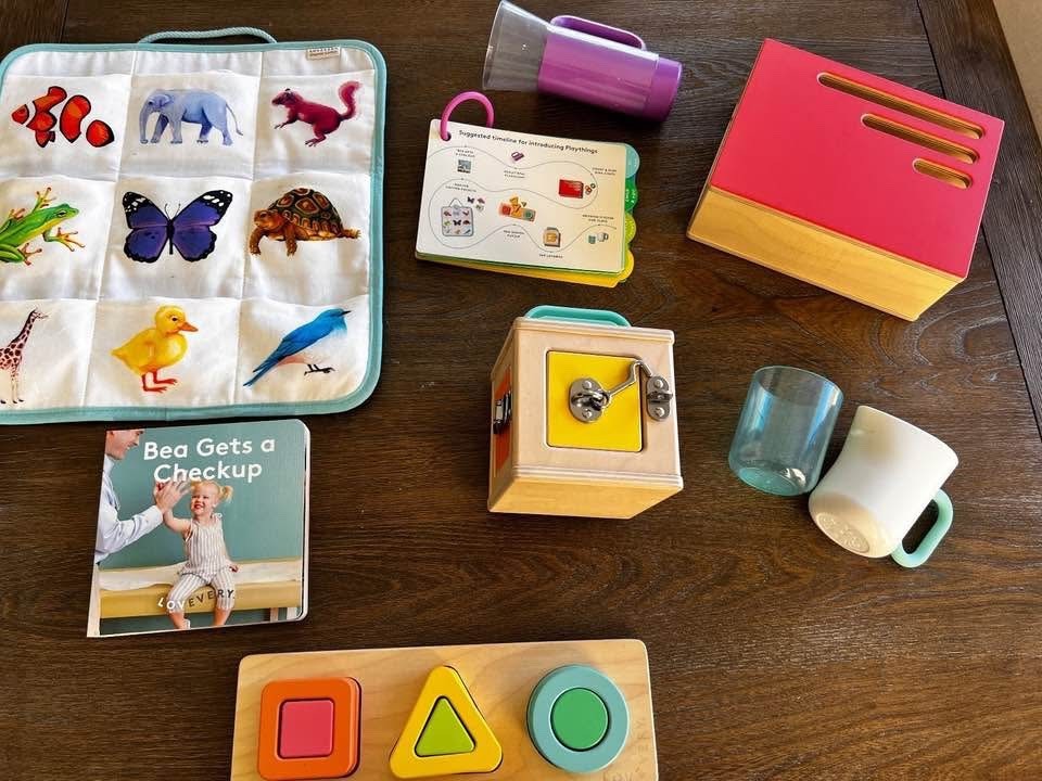 Lovevery Learning Toys The Realist Play Kit (Months 19, 20, 21) | eBay