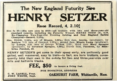 1920 Henry Setzer Breeding Horse Advertisement Racing Futurity Sire E4A