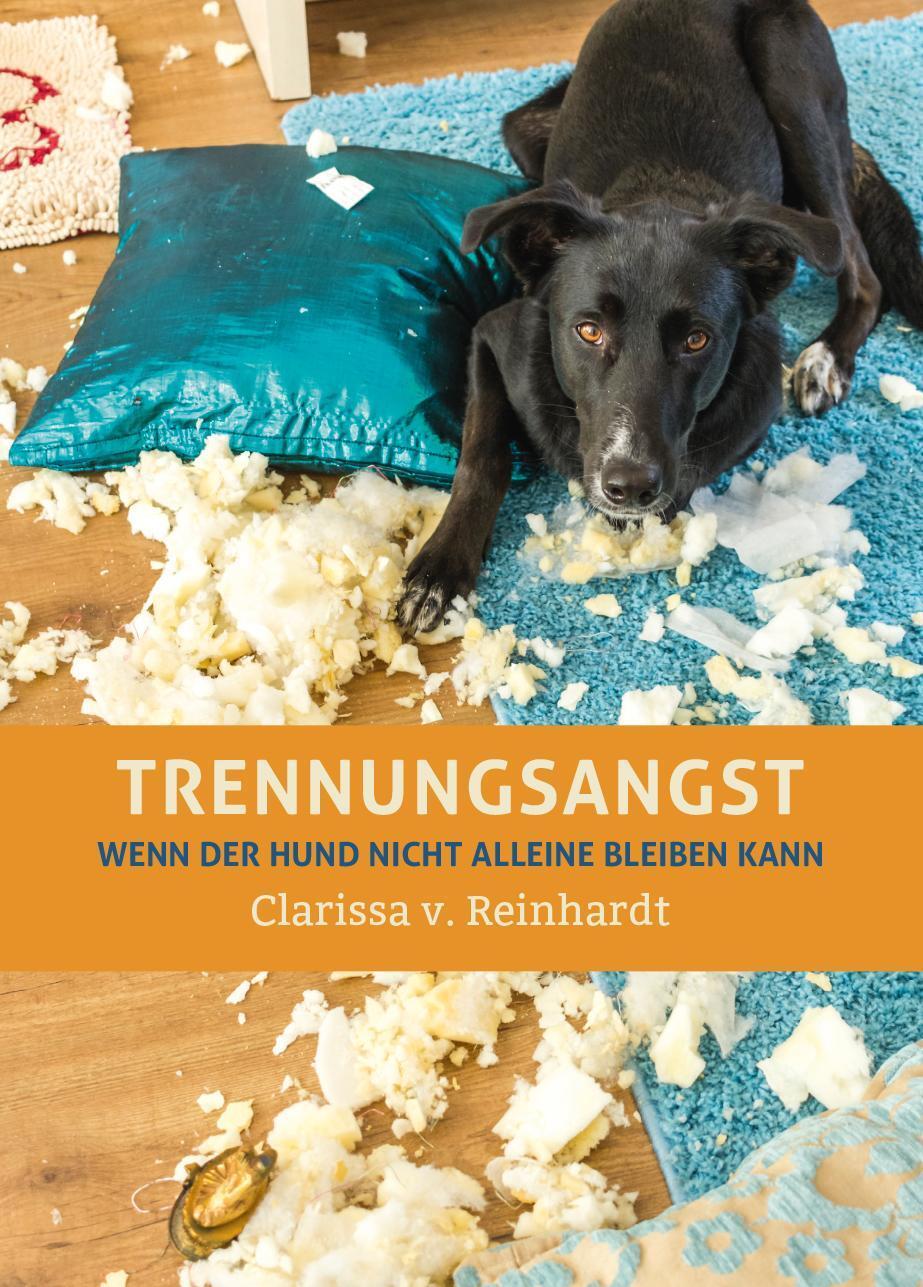 Thumbnail - Trennungsangst Clarissa Von Reinhardt