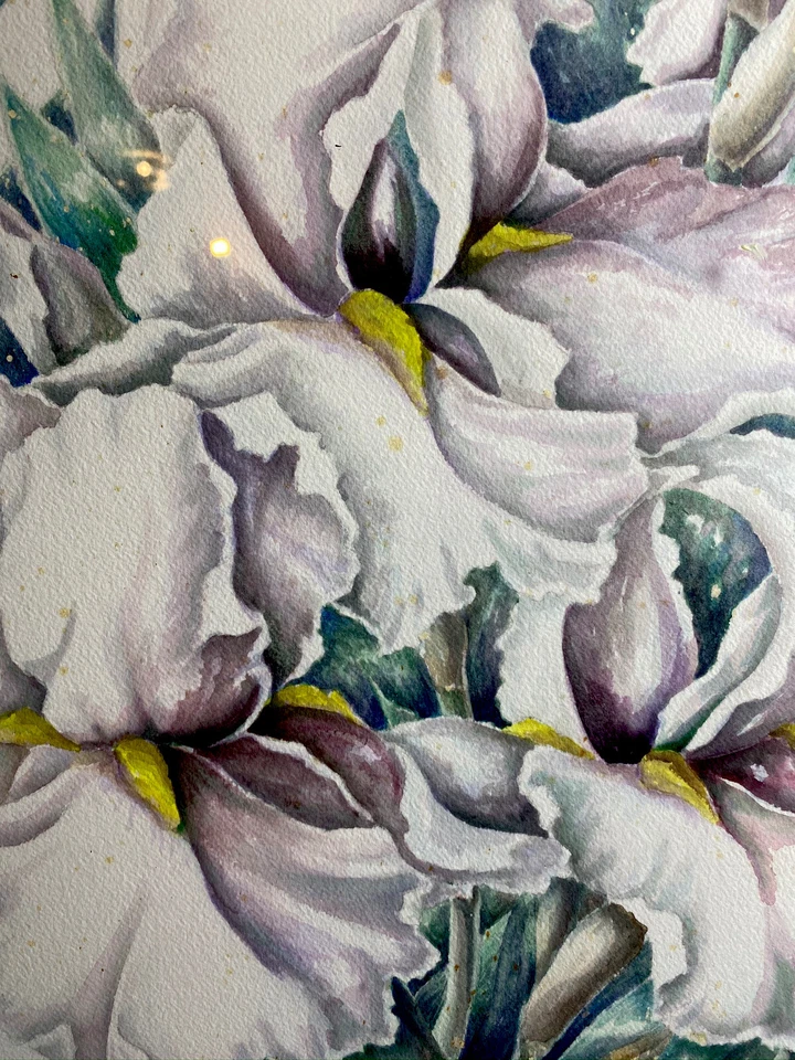 Enorme aquarela emoldurada assinada por Perkins floral orquídeas desenho pintura 34x27” - Imagem 2 de 4
