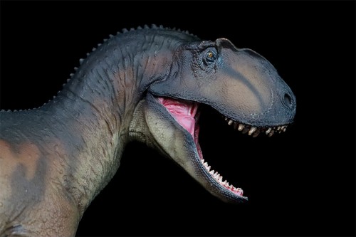 PNSO Yangchuanosaurus Magnus 76 Dinosaur Model Collections Figure Gift Toys - Picture 12 of 24