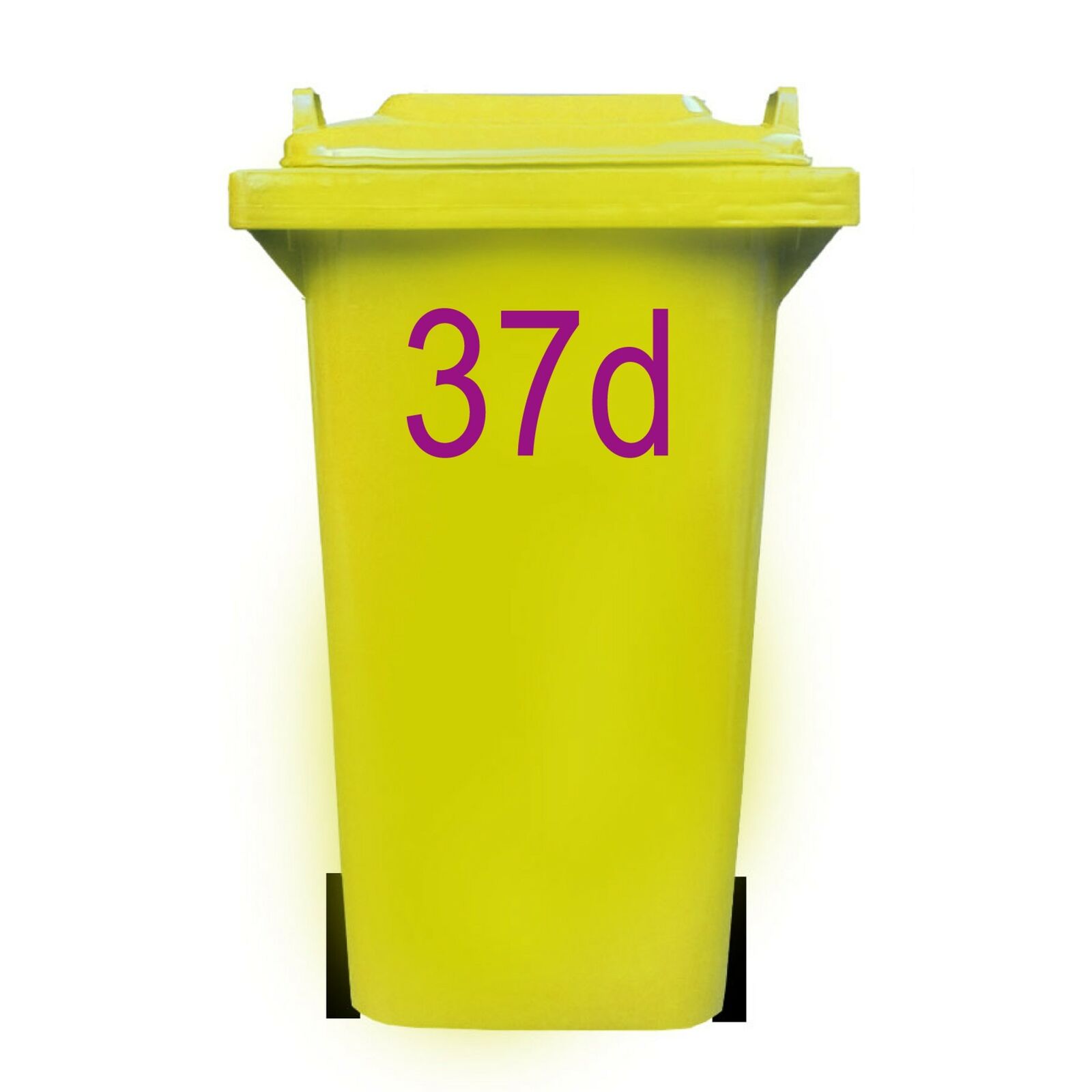Imagen 11 de 16