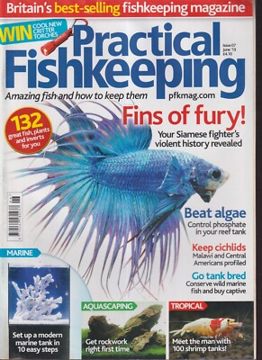 Siamese Fighter Cover Practical Fishkeeping Magazine June 2013~Beat Reef Algae