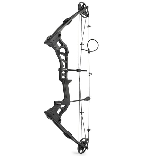 Compound Bow Arrow Set 0-70lbs Adjustable Archery Bow Hunting Shooting 320fps - Picture 11 of 21