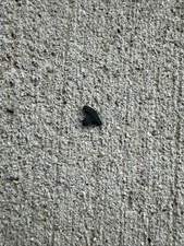 Original Colt Front Sight Parkerized USGI Army WW2 Surplus NOS 1911A1 Type 3