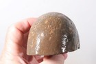 Petrified Washington Teredo Fossil Wood 13.1 oz lapidary end cut rough — photo 8