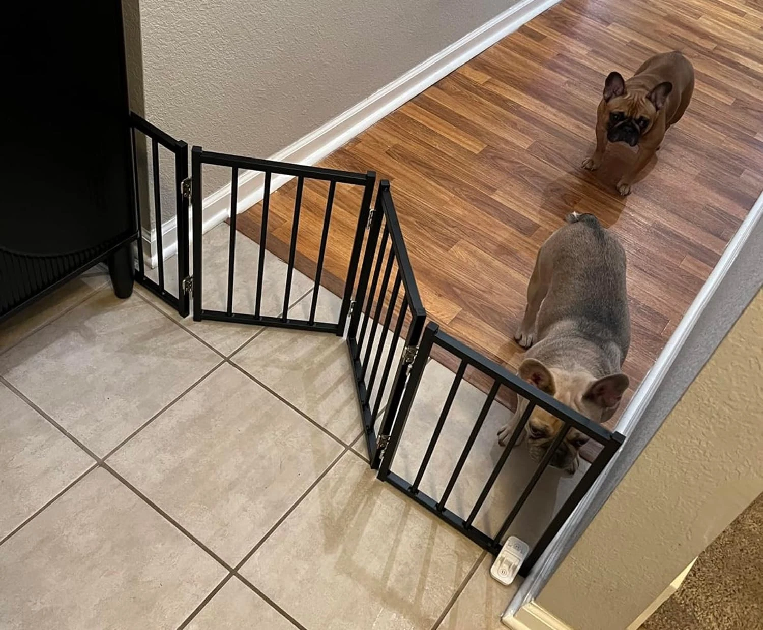 Free Standing Dog Gate, 16.5" Short Pet Gate for Stairs and Doorways, Up to 4...