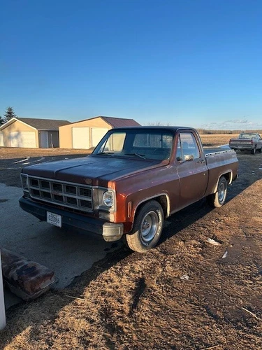 1978 Chevrolet Other Pickups 