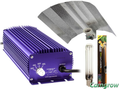 Lumatek Ultimate 600W 400V Ballast, SunMaster Bulb 600W 400V