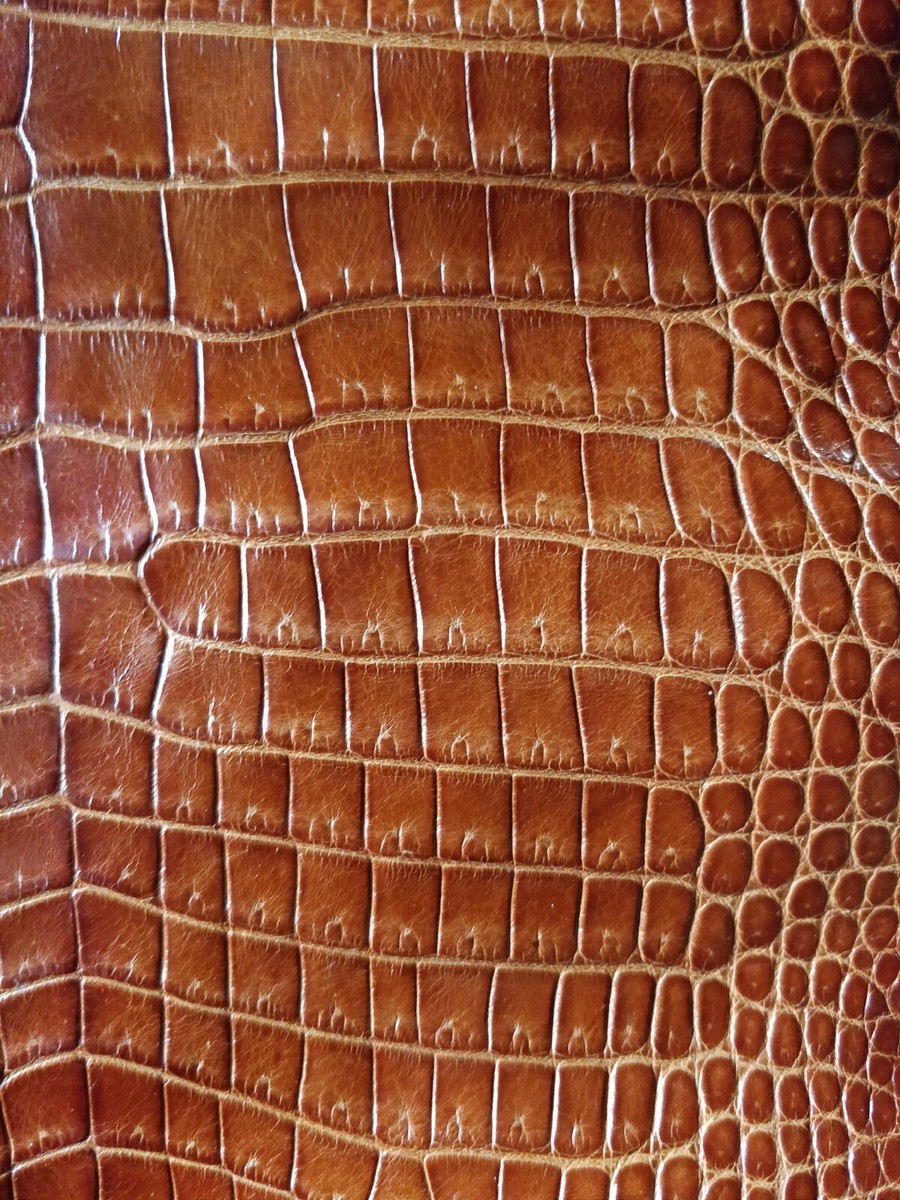 pelle di coccodrillo vintage