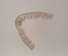 Lash Haare Wimpern 8-9 mm Natürlich für Puppen 10 cm  - Echthaarwimpern braun