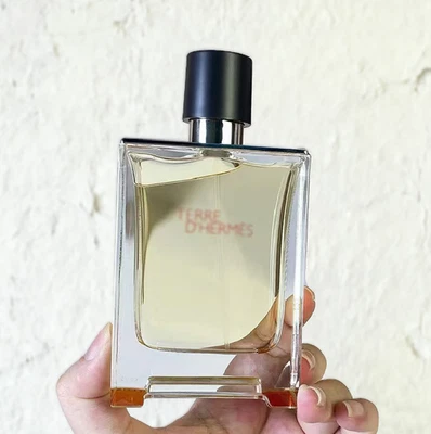 MARKENLOS Herren EDT Spray Terre D/ Herm. E& Eau De Toilette 100 ML Neu im Karton