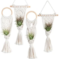 4 Pack Air Plants Holders Stand Air Fern Macrame Plant Hanger Indoor Hanging ...