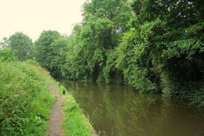 Photo 12x8 Stratford Canal below Finwood Bridge Looking in the opposite di c2017