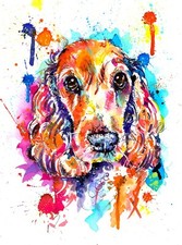 Spaniel Springer Cocker Art Print Painting Artwork Picture Gifts,  - Size Option