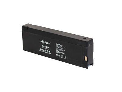 Raion Power 12V Camcorder Battery For Panasonic PV-220