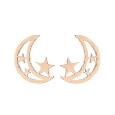 2pairs stainless steel Stars Moon earrings, 4 colors Wholesale FJS71-304