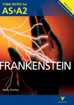 YORK NOTES FRANKENSTEIN by Mary Shelley Paperback Self Help Business