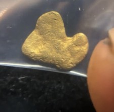 ALASKA YUKON GOLD NUGGET- FAIRBANKS &ldquo;ZOMBIE PACMAN&rdquo;  RAW FINE 22k+ .313g