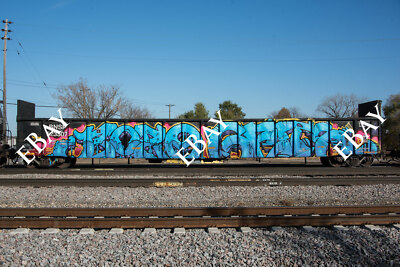 Train graffiti: 6'' x 9'' matted photo of Bozo * Gets from November 2016