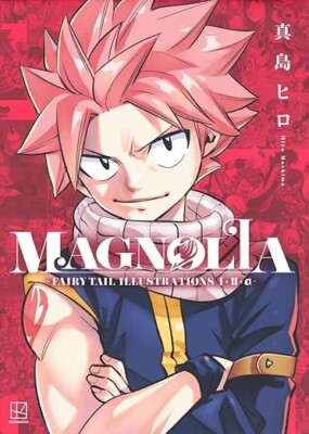 FAIRY TAIL ILLUSTRATIONS 1+2+α Magnolia Art Book Hiro Mashima Japanese New