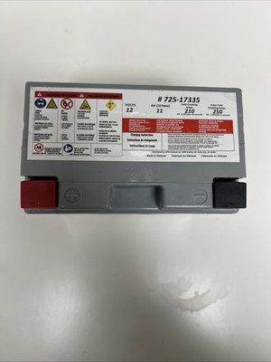 Cub Cadet Lawn and Garden AGM Battery 12V 210 Cranking Amp 725-17335