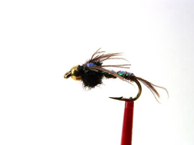 Tungsten Nymphe PHEASANT TAIL FLASHBACK , 3er Set