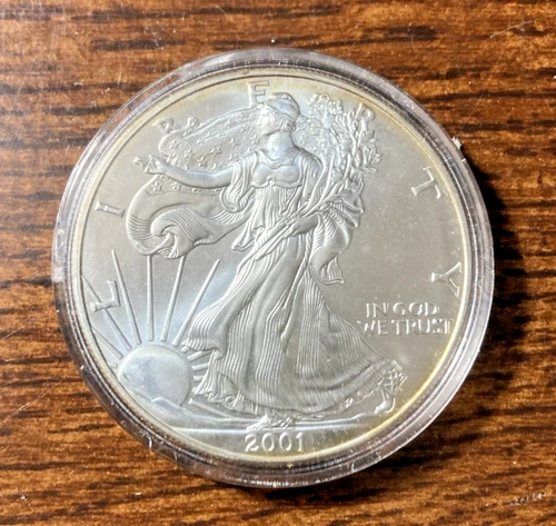 2001 Silver American Eagle dollar in nice Uncirculated condition, nice toning