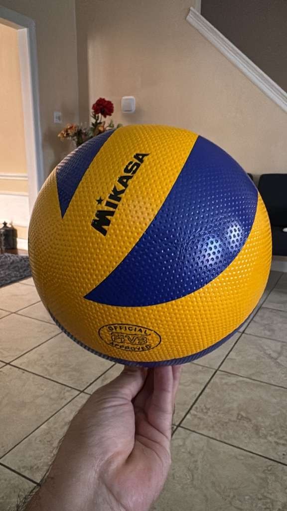Mikasa V200W Original Volleyball Ball Professional Volleyball Ball
