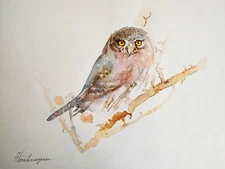 Kestrel, Birds, Watercolor artwork, Handmade, Original painting on paper